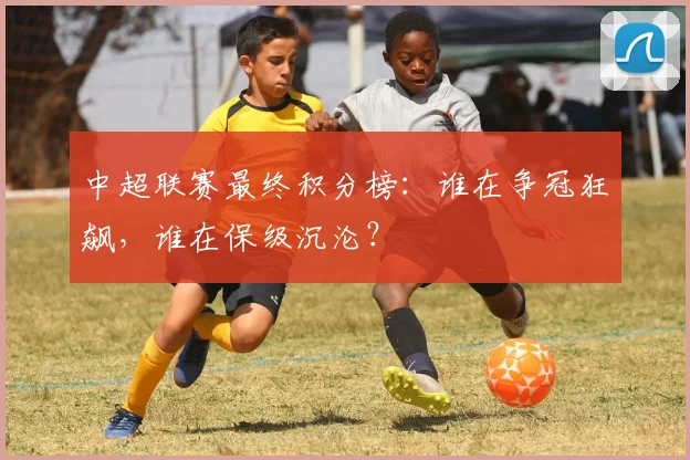 中超联赛最终积分榜：谁在争冠狂飙，谁在保级沉沦？